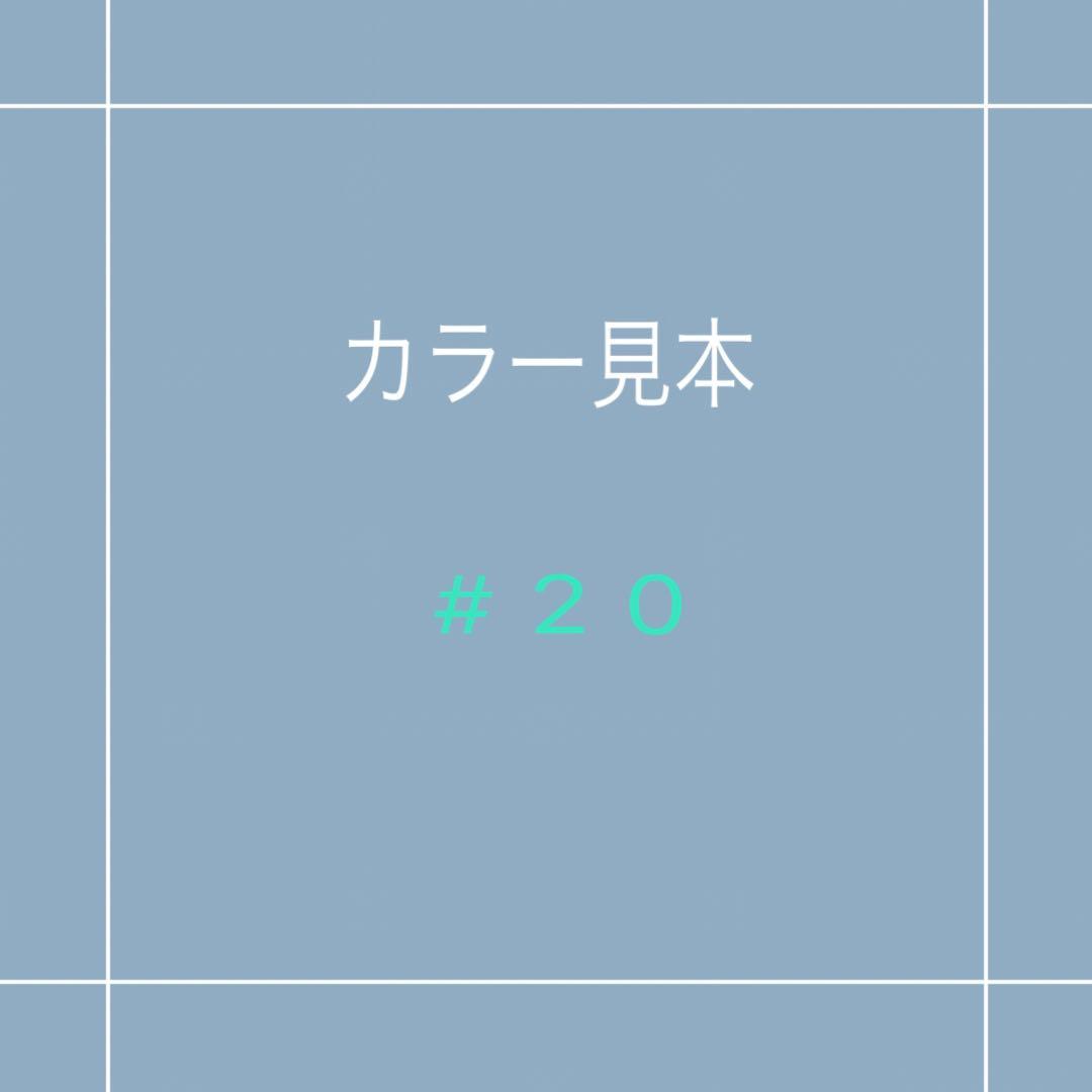 #20 カラー見本 ✳️お知らせ→Ｎｏ．２ ミルクティーベージュ在庫切れ