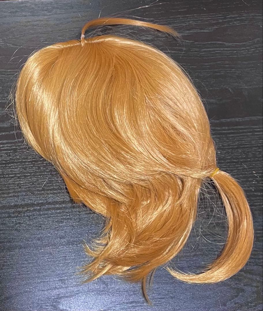 にじさんじ 伏見ガク ふしみがく ウィッグ コスプレ - メルカリ