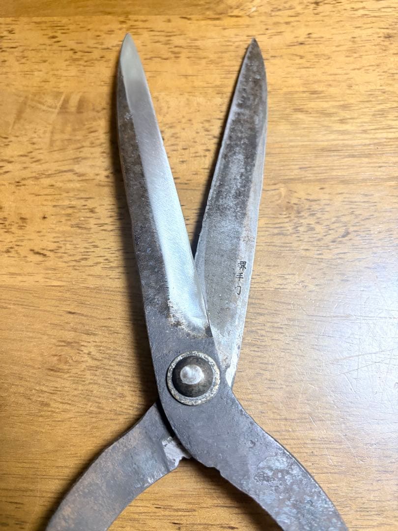 刈込み鋏　正定　田中鋏製作所