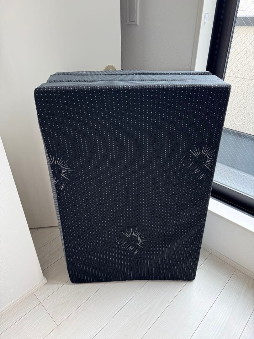 GOKUMIN マットレス 2層構造厚さ10cm ＋低反発枕 4段階高さ調整機能