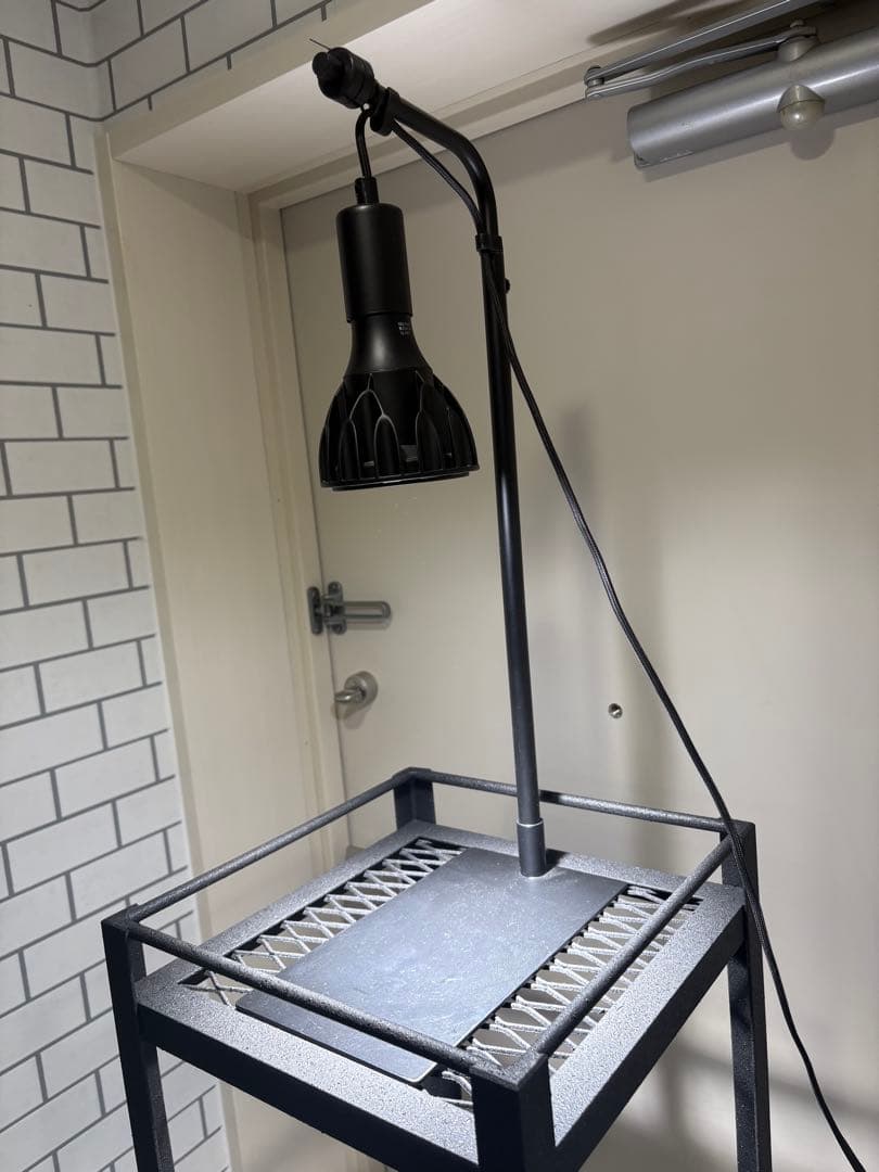 ライトスタンド付 植物棚 アイアン棚 アイアンシェルフ アガベ