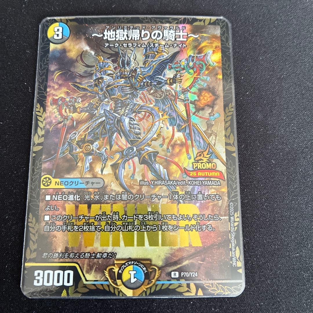 地獄帰りの騎士 プロモ - メルカリ