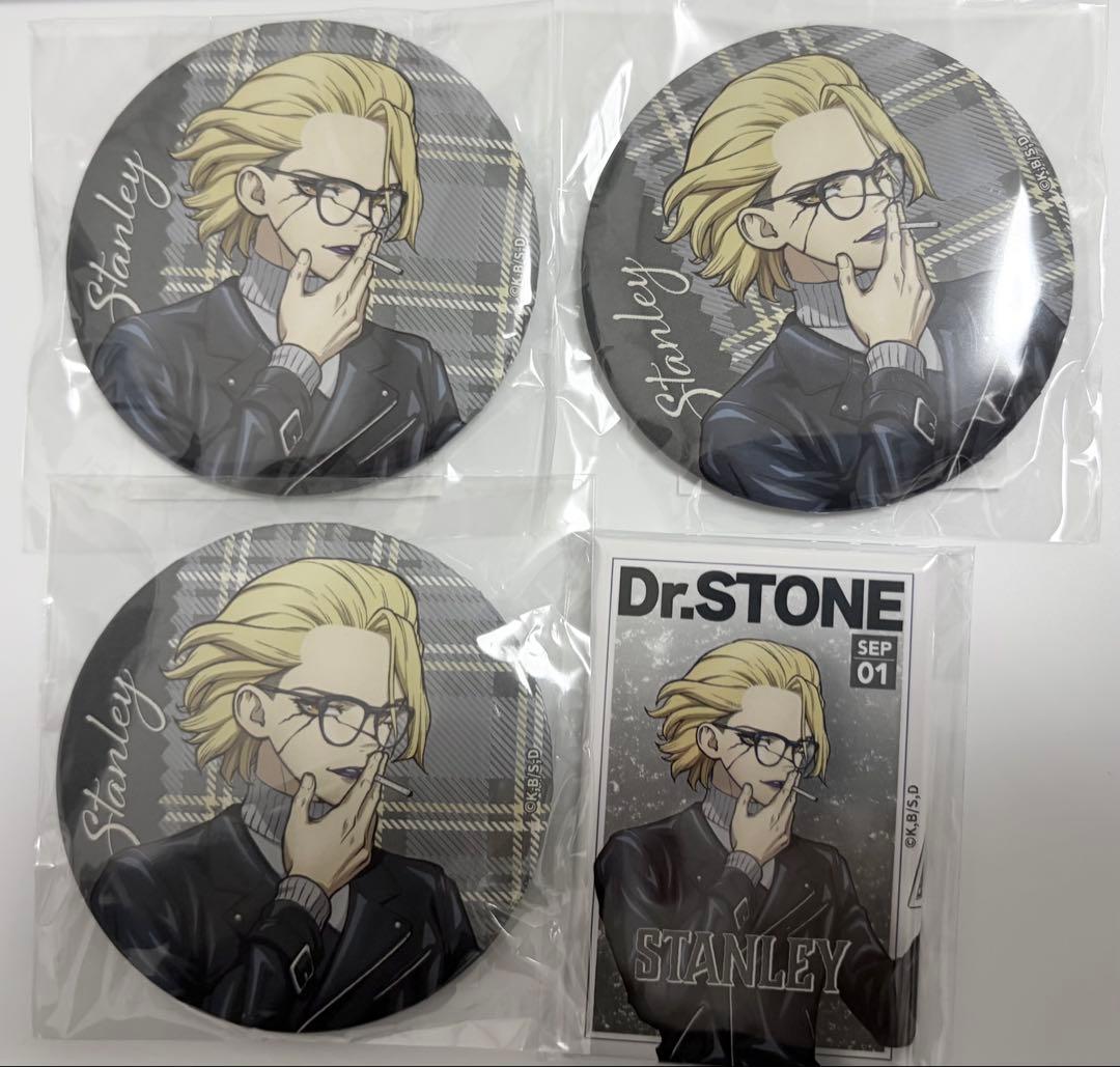 Dr.STONE くじ引き堂 読書の秋編 缶バッジ スタンリー 4点 - メルカリ