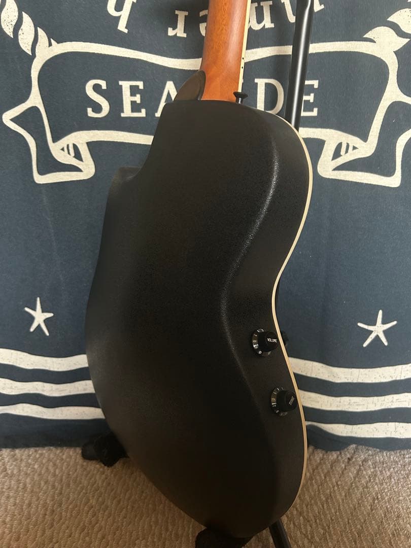 今月特価‼️90年代❣️ProMartinトラベルsizeエレアコ　SEA350RS