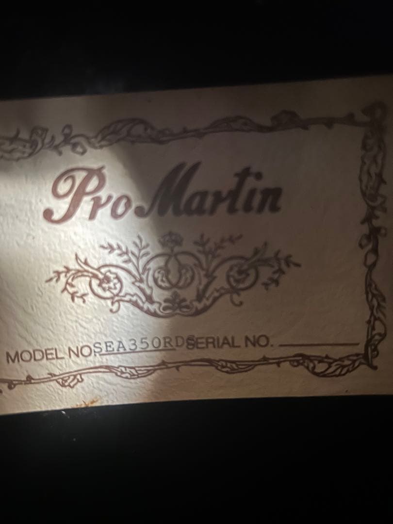 今月特価‼️90年代❣️ProMartinトラベルsizeエレアコ　SEA350RS