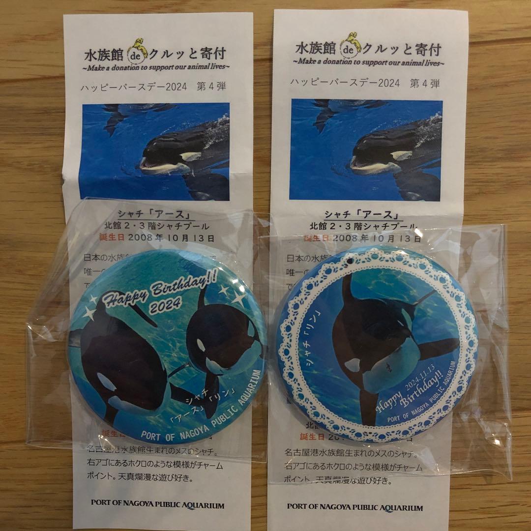 名古屋港水族館 シャチ アース リン ハッピーバースデー 2024 缶バッジ