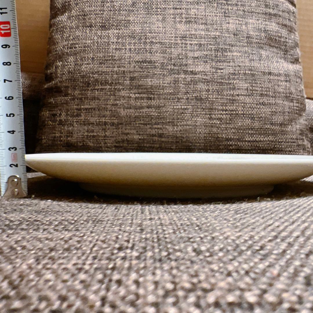 Rosenthal 柄付き プレート6枚セット