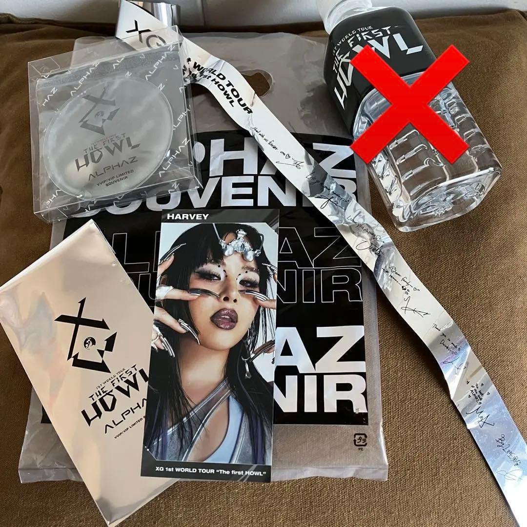 セット売り】XG VVIP VIP 限定 入場特典 ハーヴィーエコカイロ 銀テ