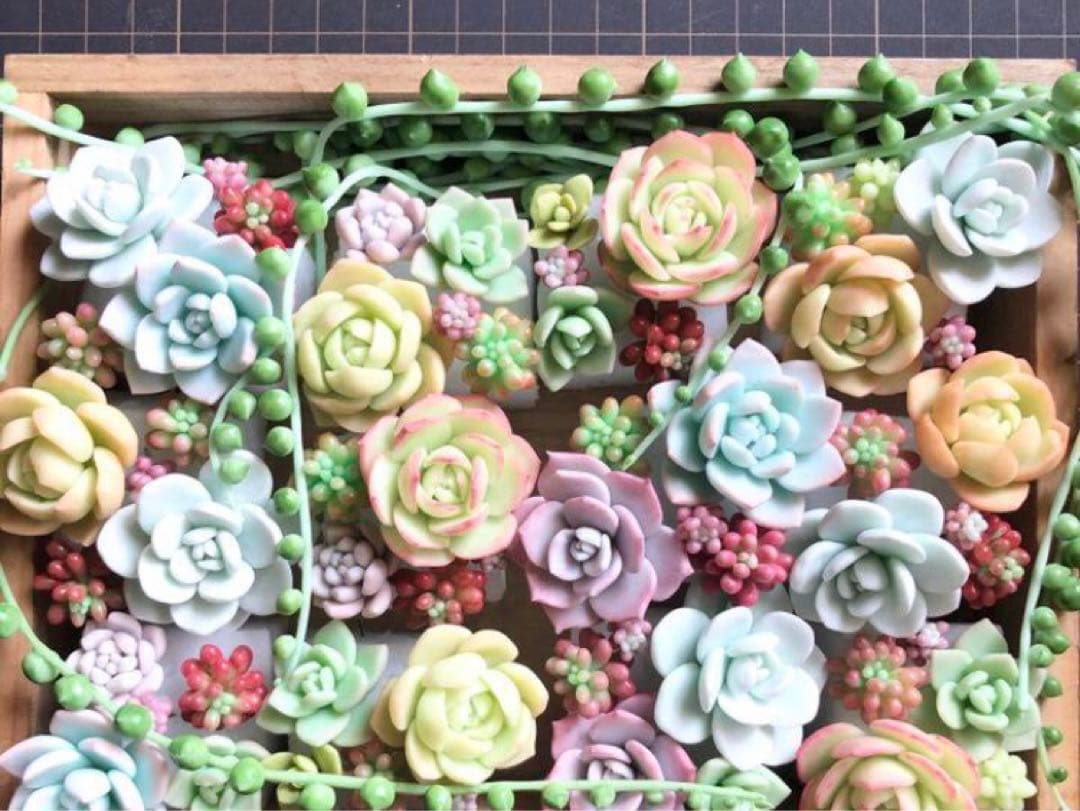 フェイク　多肉植物