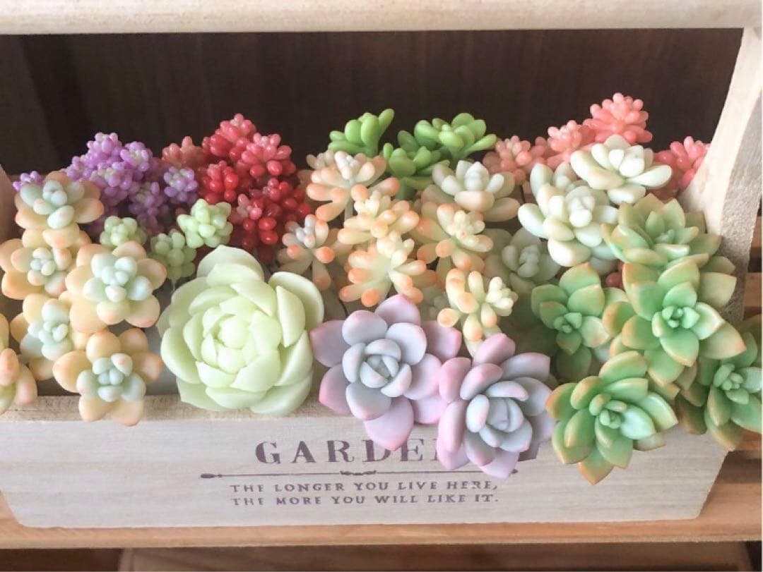 フェイク　多肉植物