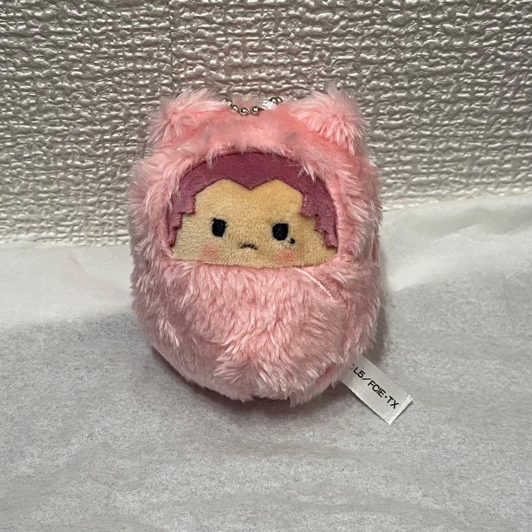 イナズマイレブン くるみたぴぬい 染岡竜吾 - メルカリ