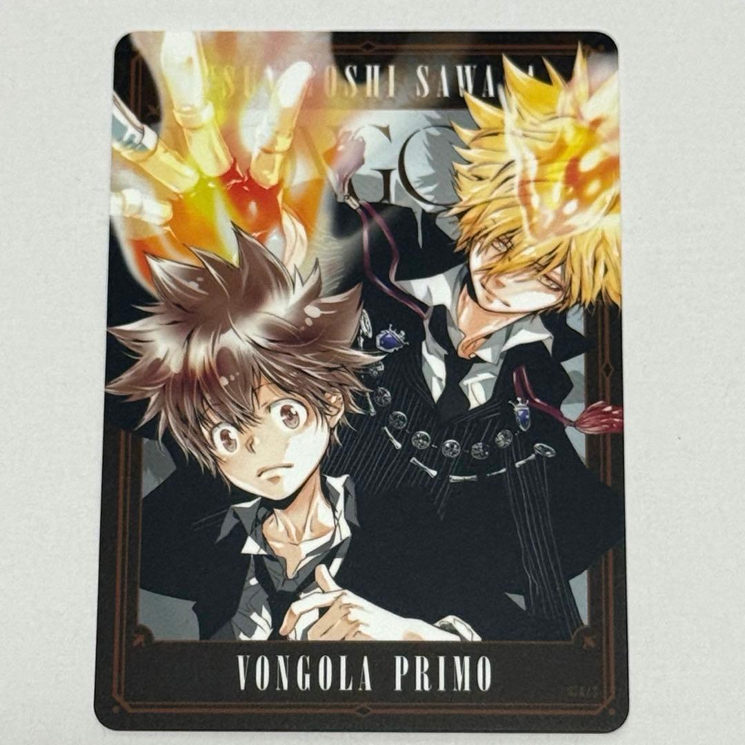 リボーン　沢田綱吉　プリーモ　マンガボドゲ　ボードゲーム　カード