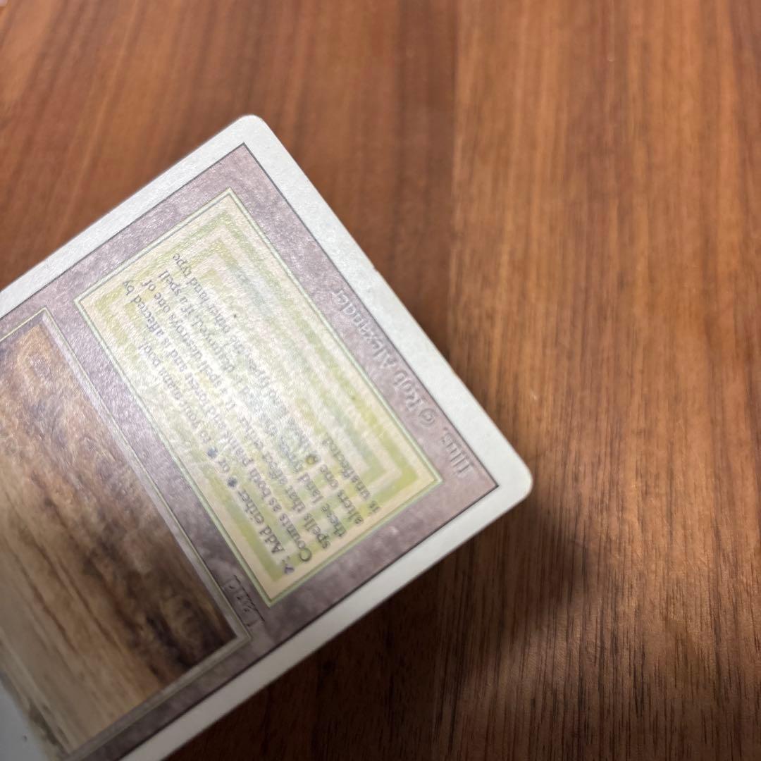 英語《Savannah》[3ED] リバイズド