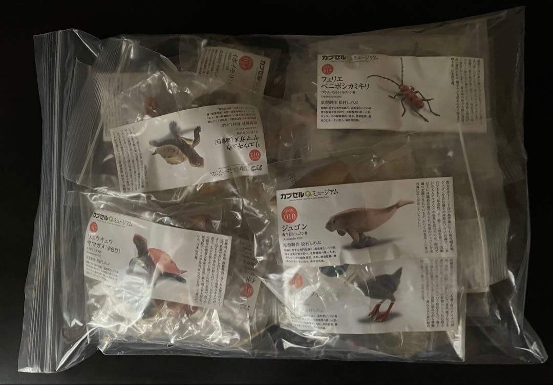 カプセルＱ 日本の動物コレクション Ⅱ 沖縄奄美