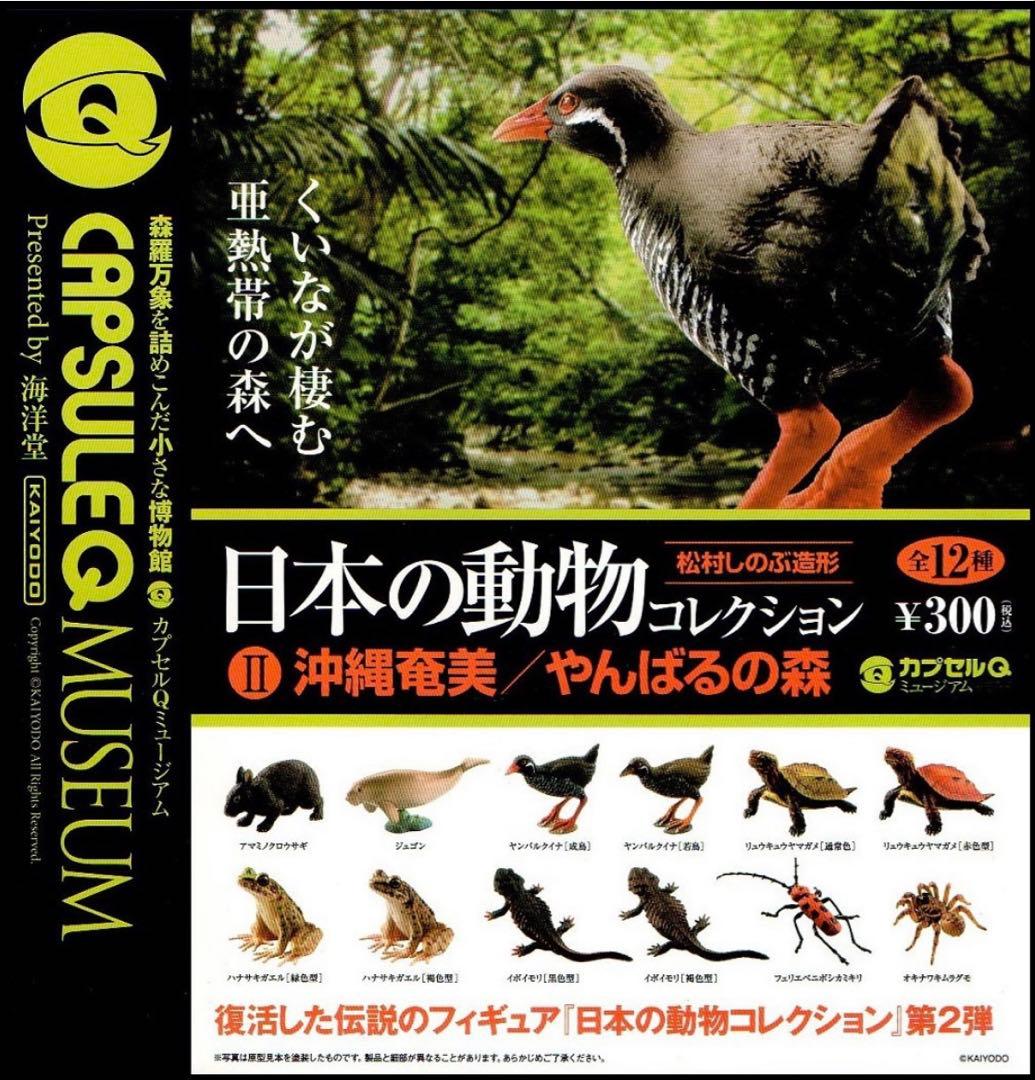 カプセルＱ 日本の動物コレクション Ⅱ 沖縄奄美