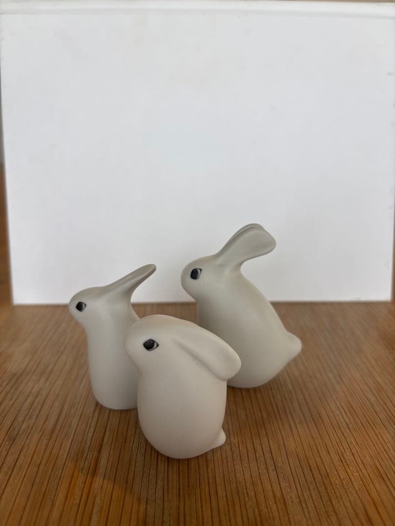 ARABIAヘルヤ バニー