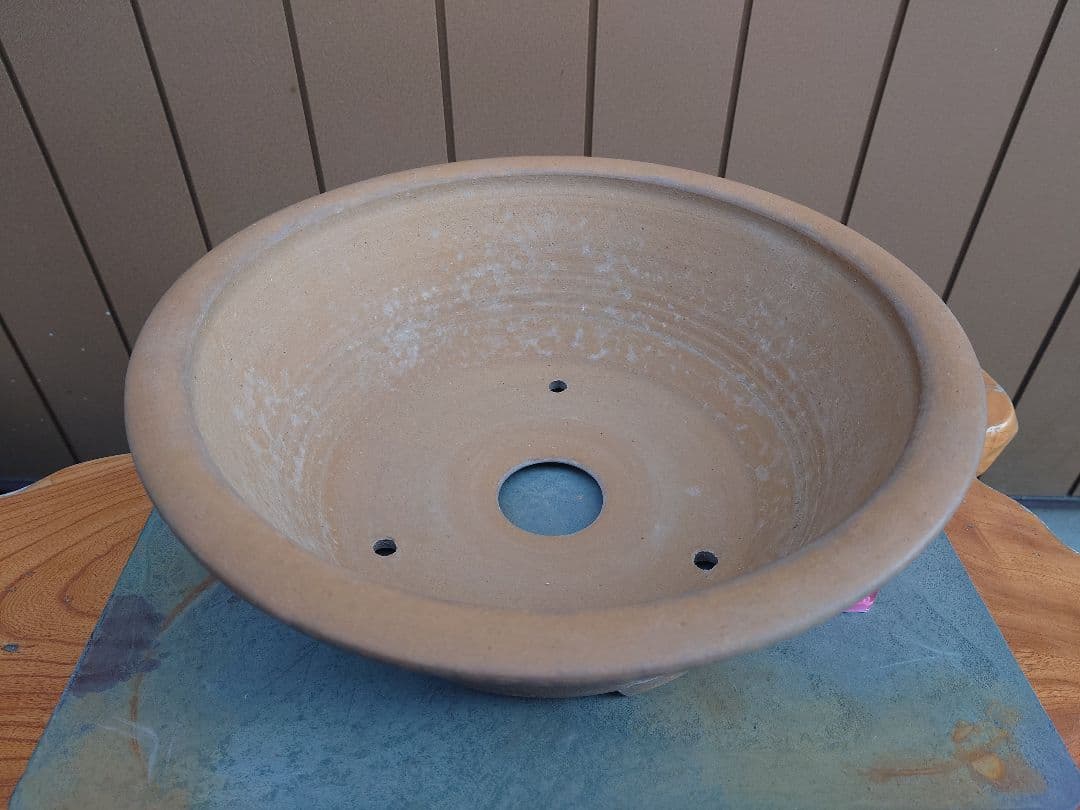 盆栽　鉢　勝山　直径41cm