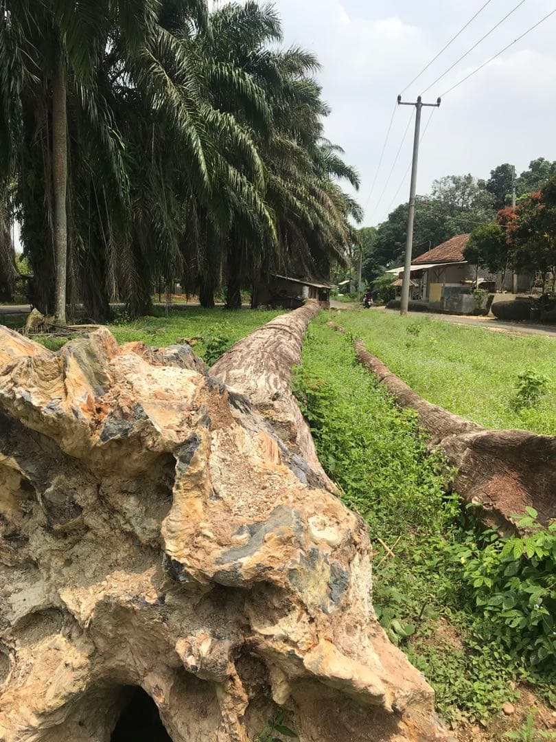 最上級品【珪化木スツール】品質保証 - メルカリ