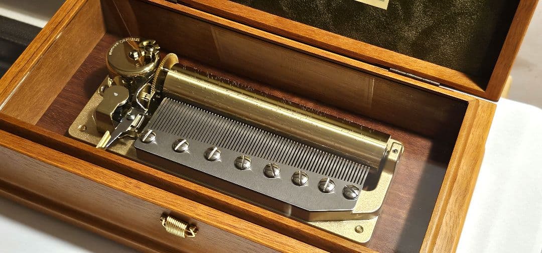 EN L' AIR 1/fのゆらぎ ORPHEUS 72弁型 カノン