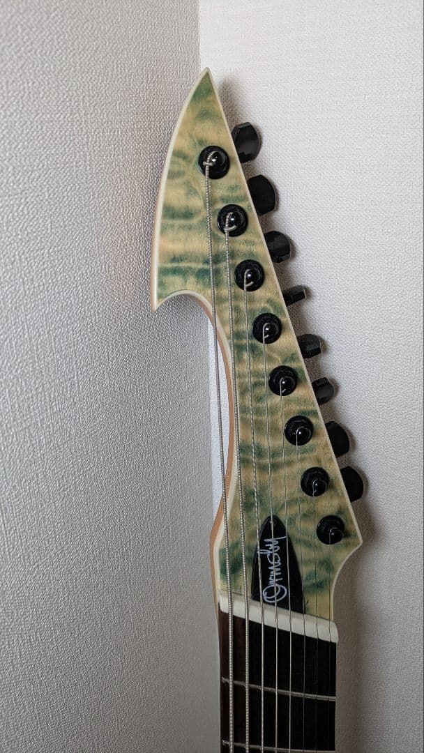 ぎんぱち様専用】Ormsby Hype GTR 8 8弦ギター マルチスケール - メルカリ