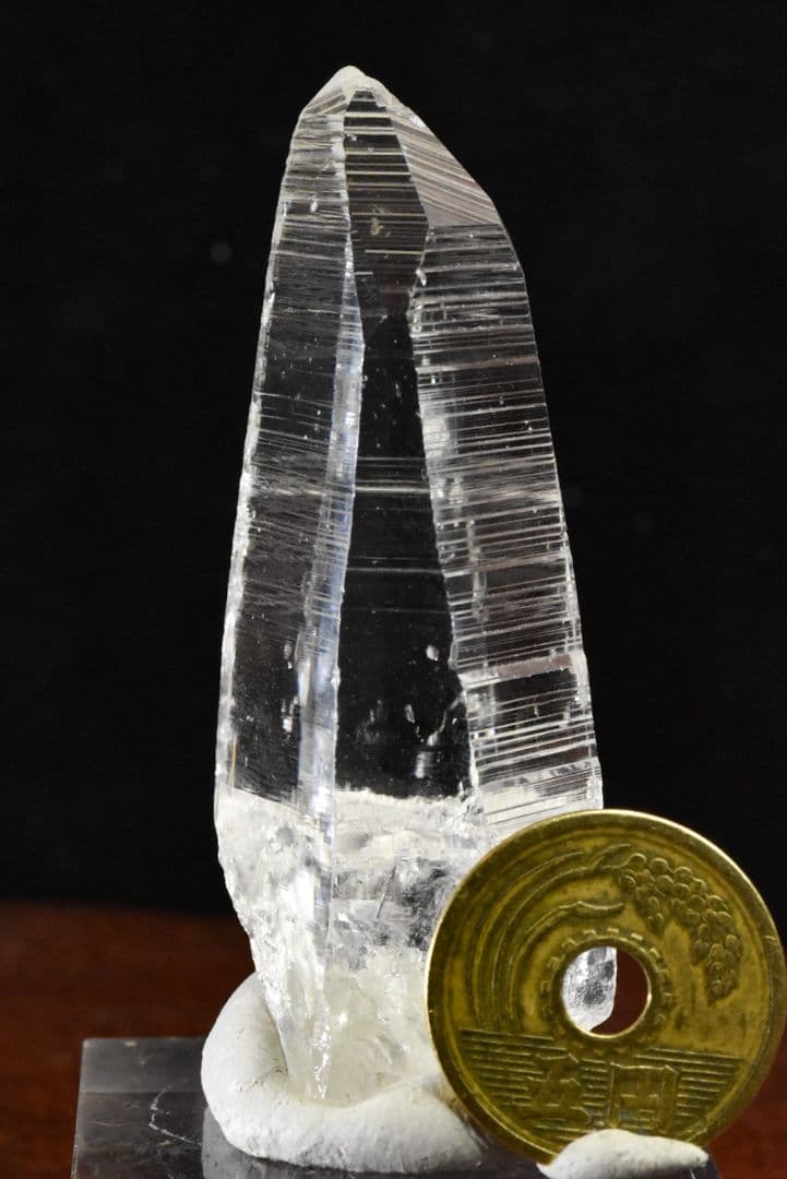 サンタンデール産 コロンビアレムリアン