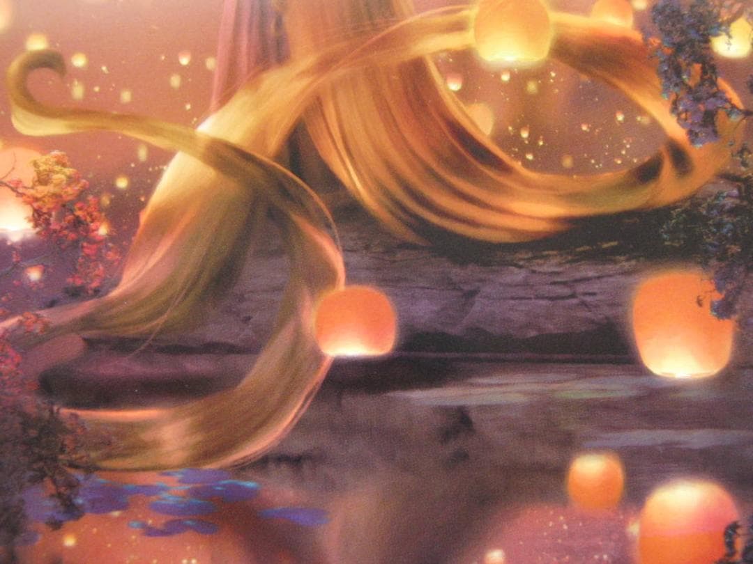 ステファン・マーチンエアー、【Alight】、希少な額装用画集より、状態良好