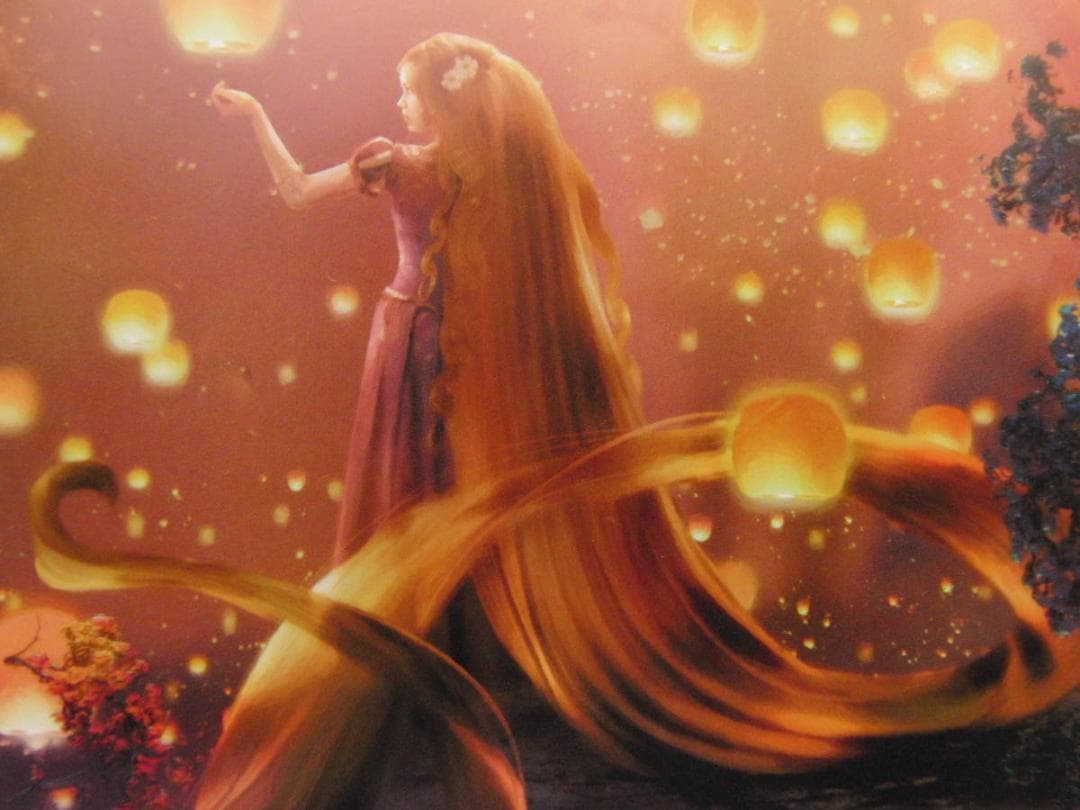 ステファン・マーチンエアー、【Alight】、希少な額装用画集より、状態良好