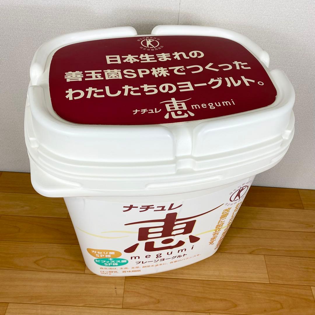 希少・非売品】ナチュレ恵 ヨーグルト ジャンボパッケージ 特大 販促用