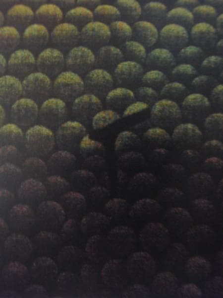 浜口陽三、メゾチント 、緑と紫のぶどう、希少な額装用画集よ