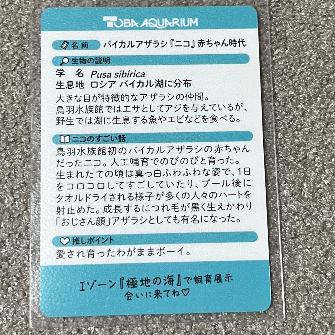 鳥羽水族館 コレクションカード バイカルアザラシ ニコ(レア) - メルカリ