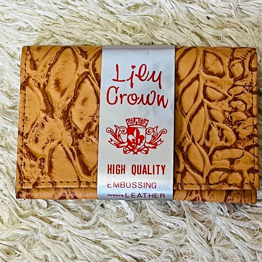 ✨極希少✨ センザンコウ 穿山甲 高品質 エンボス加工 レザー 豪華5点セット