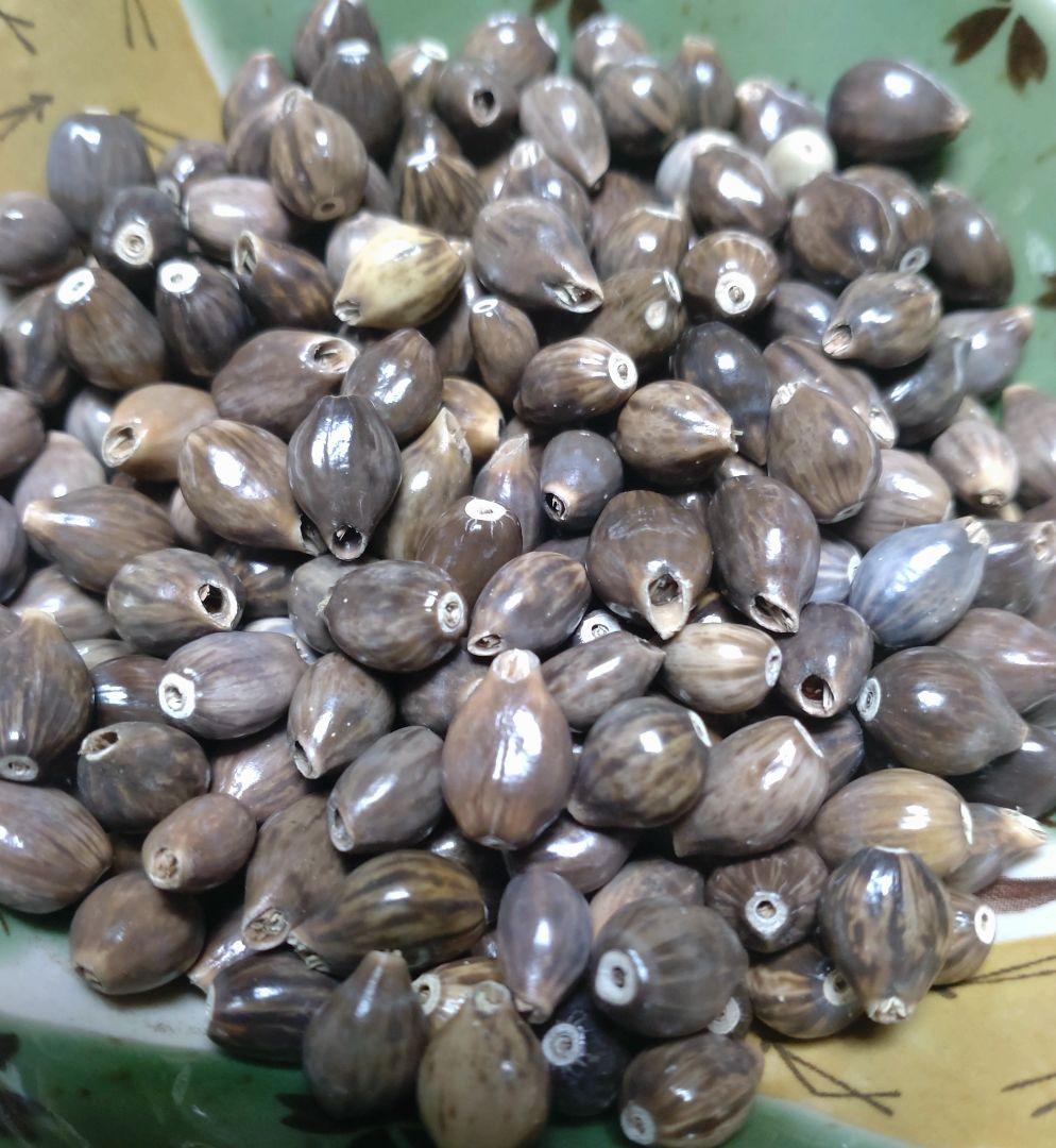 椿 着物リメイク数珠玉お手玉巾着袋 リハビリ 和小物 指遊び おもちゃ