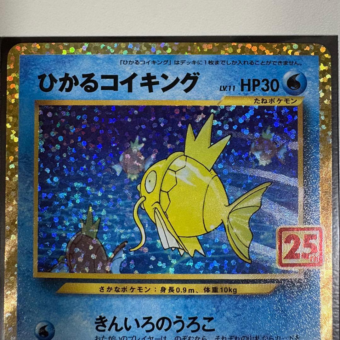 二*夫様 ひかるコイキング 25th