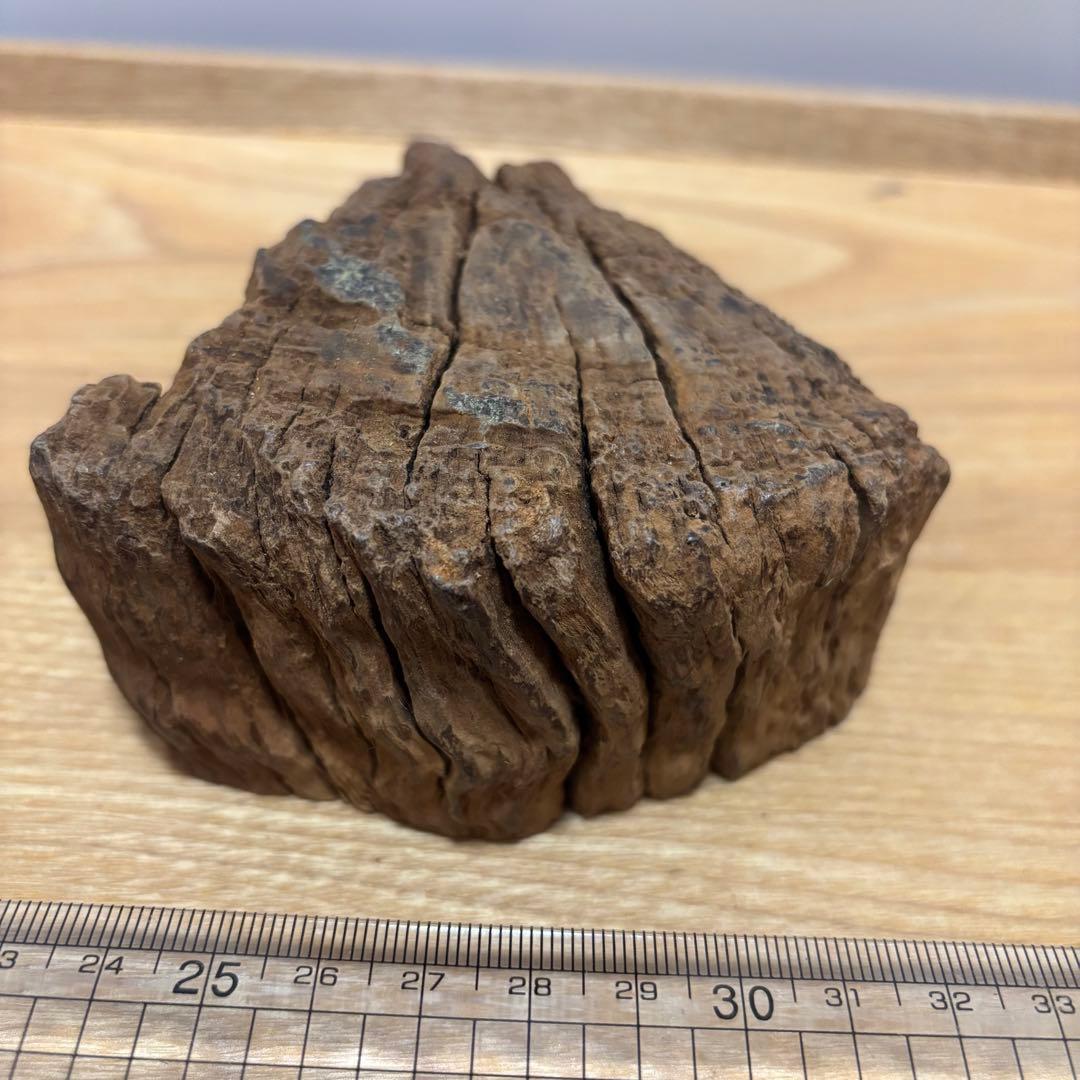 古代天然香木　沈香原木298.5g 茶道具タニシャム沈香伽羅聞香 香道具ベトナム