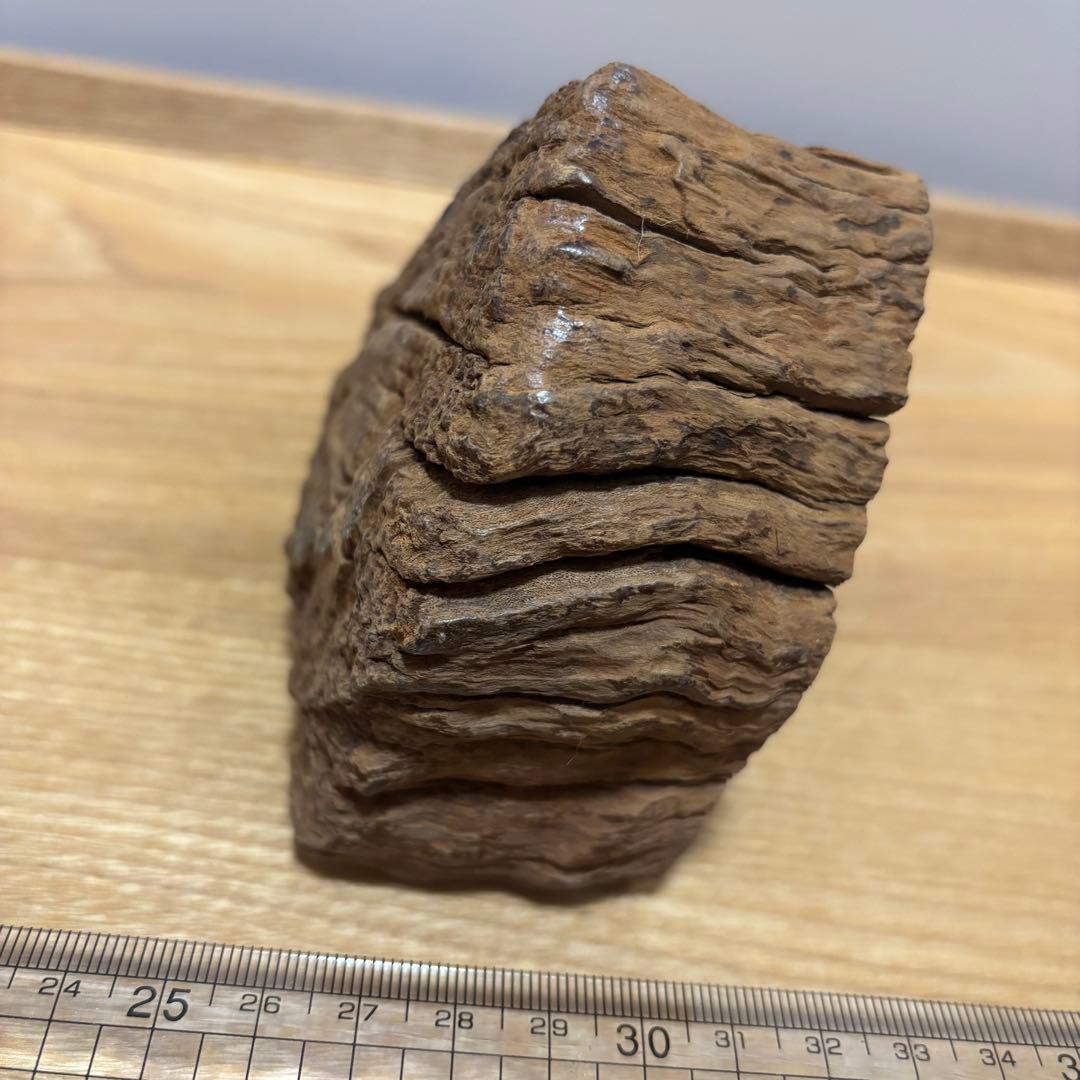 古代天然香木　沈香原木298.5g 茶道具タニシャム沈香伽羅聞香 香道具ベトナム