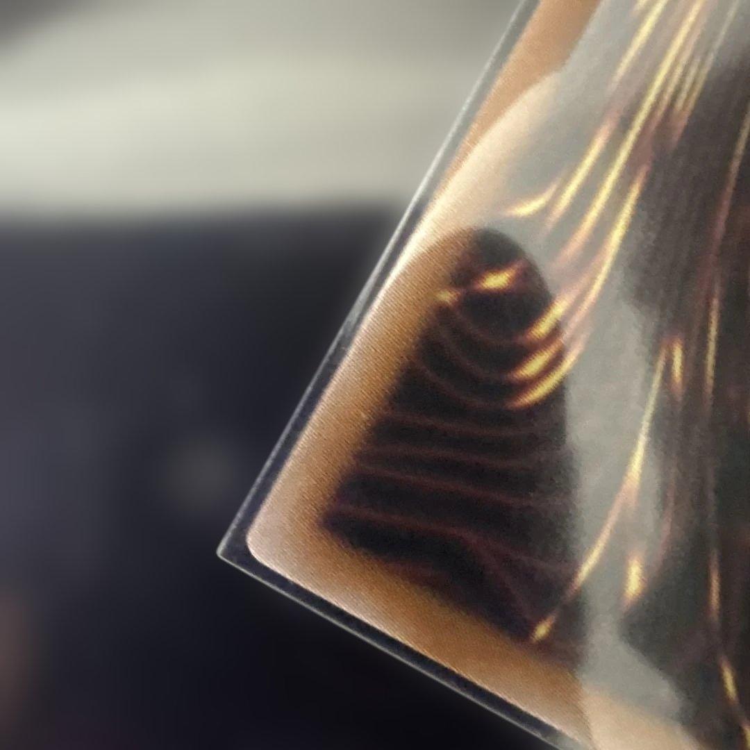 極美品 調和ノ天救竜 シークレット