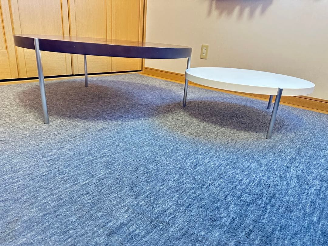 Arlflex アルフレックス　センターテーブル　ルナーリ