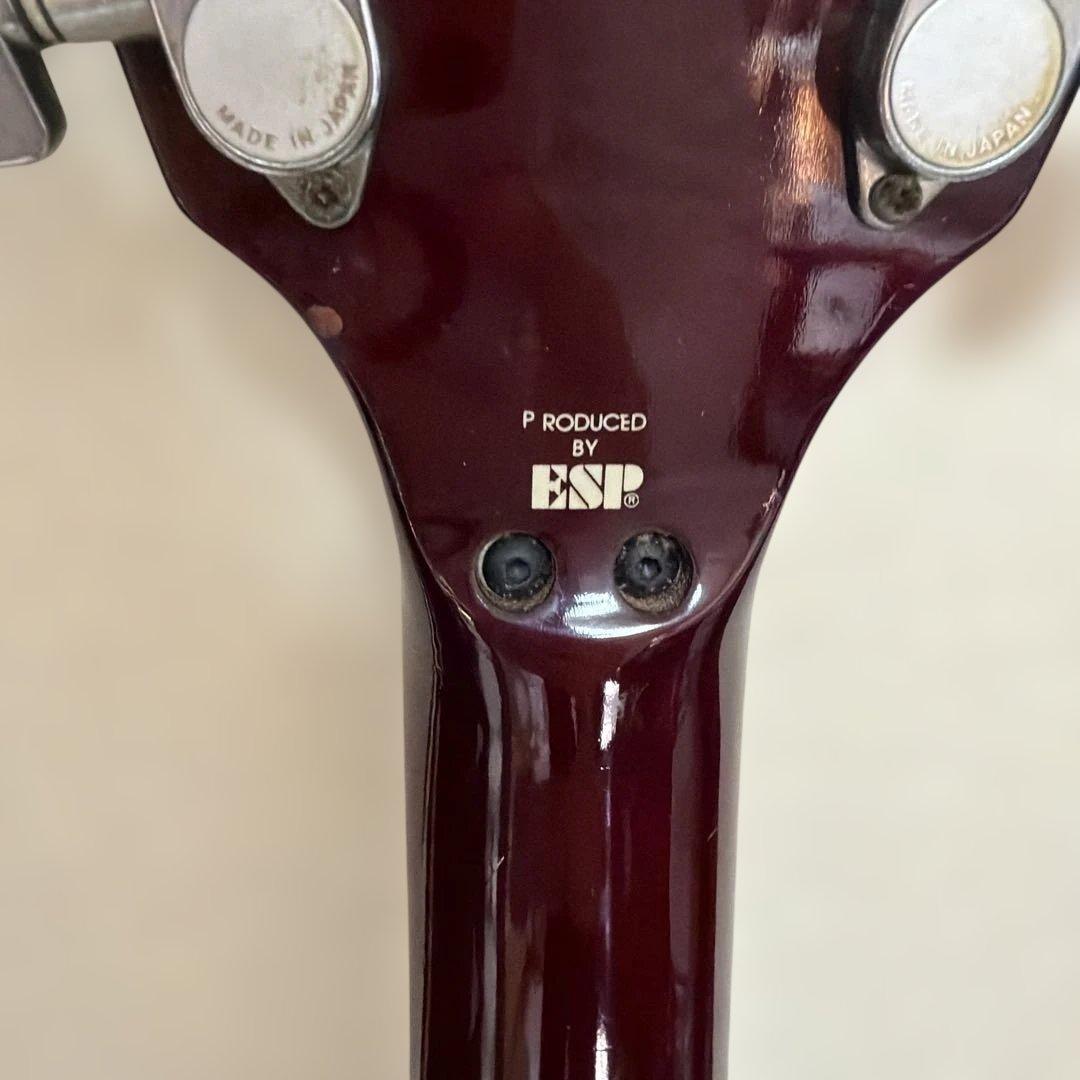 EDWARDS エレキギター ダイムバッグダレル　ESP