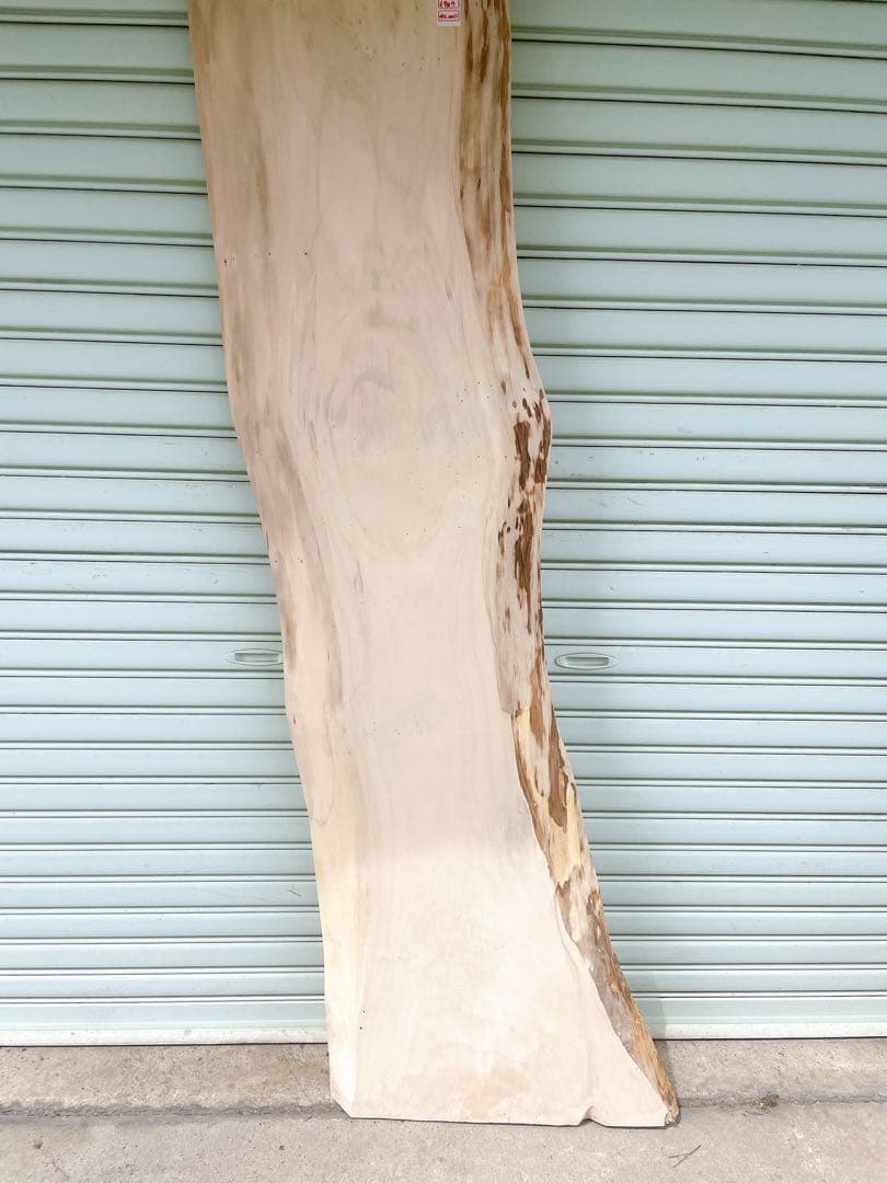 天然　イチョウ　木材　天板　テレビ台　無垢材　カウンターテーブル　一枚板　机