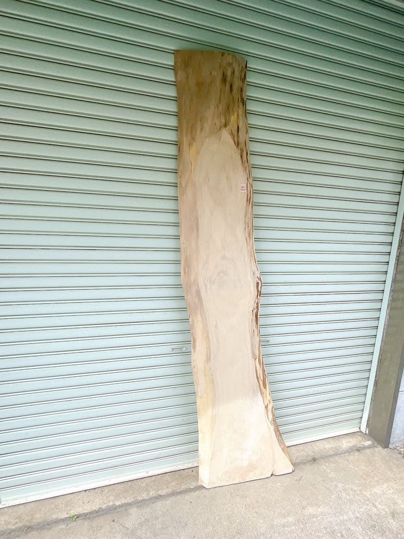 天然　イチョウ　木材　天板　テレビ台　無垢材　カウンターテーブル　一枚板　机