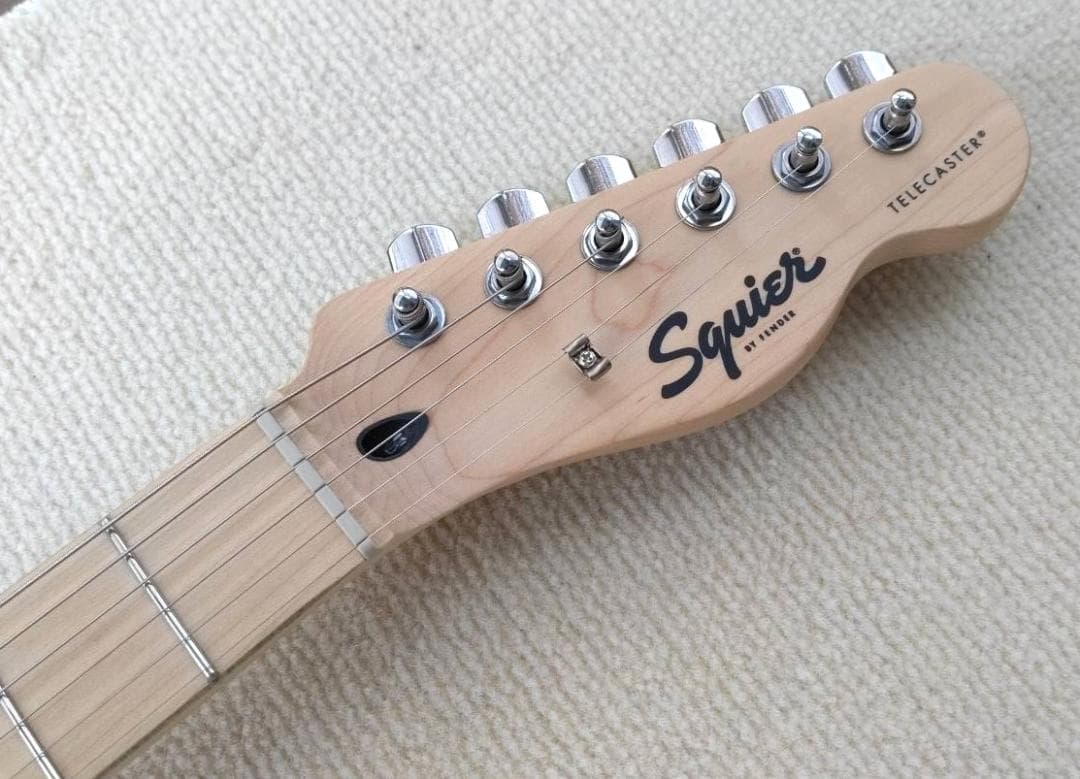 フェルナンデス FSTコンポーネントテレキャスターオールラッカー