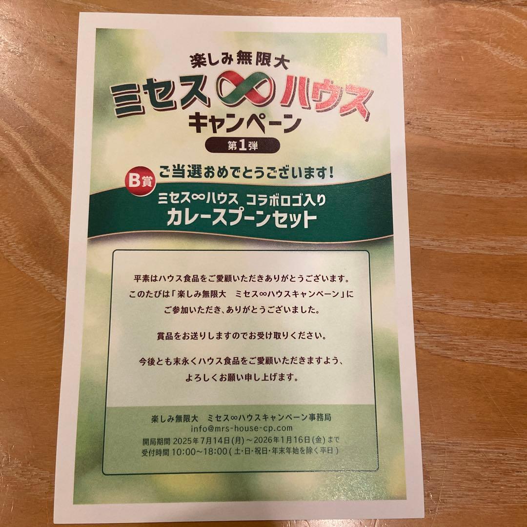 ゆ*き様 ミセスグリーンアップルロゴ入り　カレースプーンセット