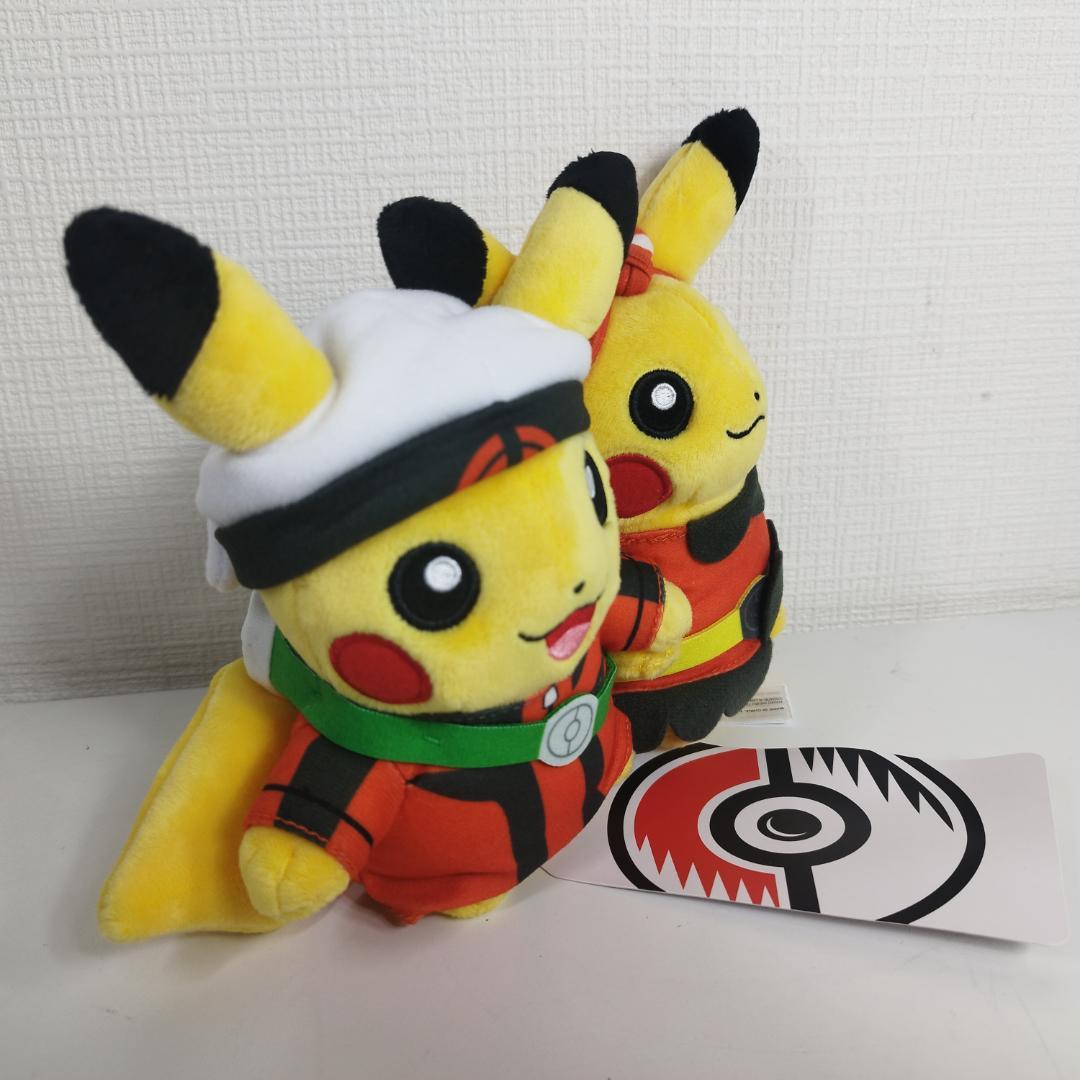 ピカチュウ 25周年 ホウエン地方 ぬいぐるみ Pikachu ポケモ ISS2