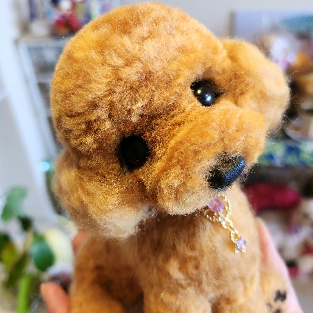 トイプードル❤️ハンドメイド❤️　　　　　　　　　　　　　お迎え決まりました♥️