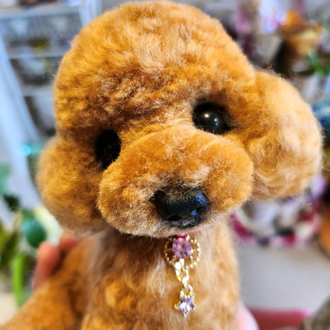 トイプードル❤️ハンドメイド❤️　　　　　　　　　　　　　お迎え決まりました♥️