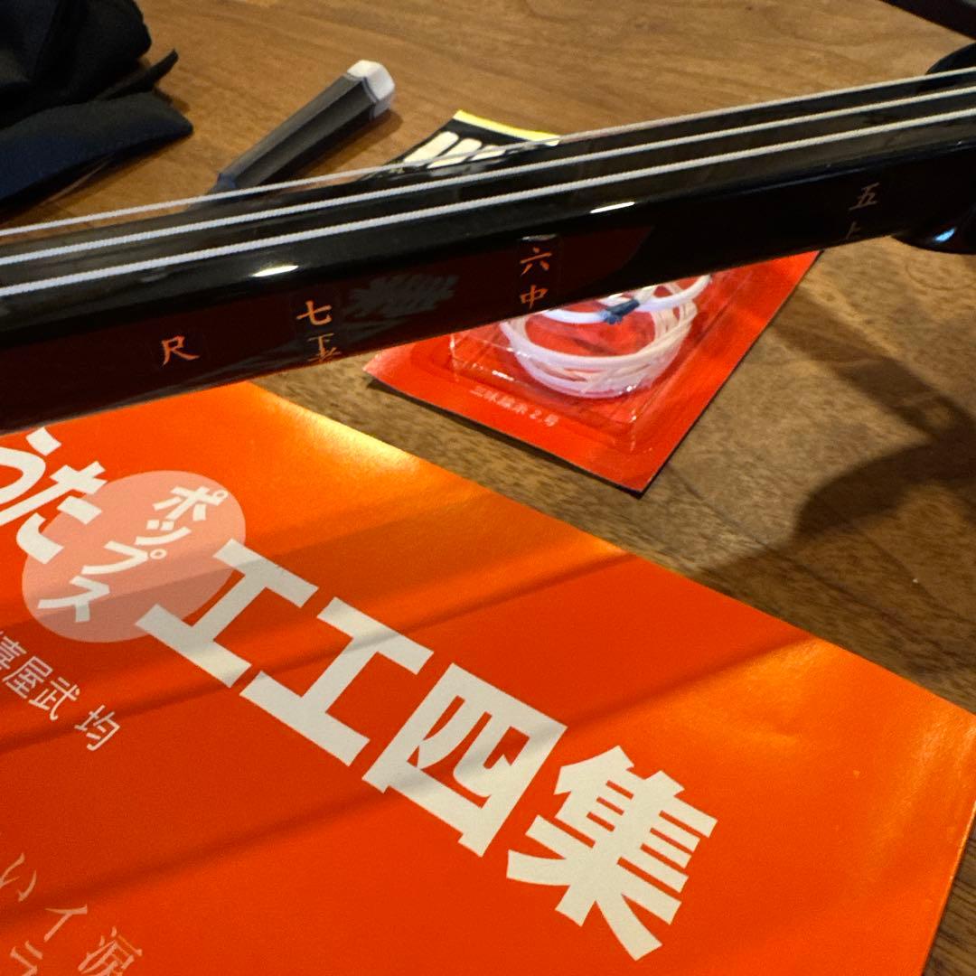 沖縄 三線 人工蛇皮製 教本付き 左利き レフティ - メルカリ