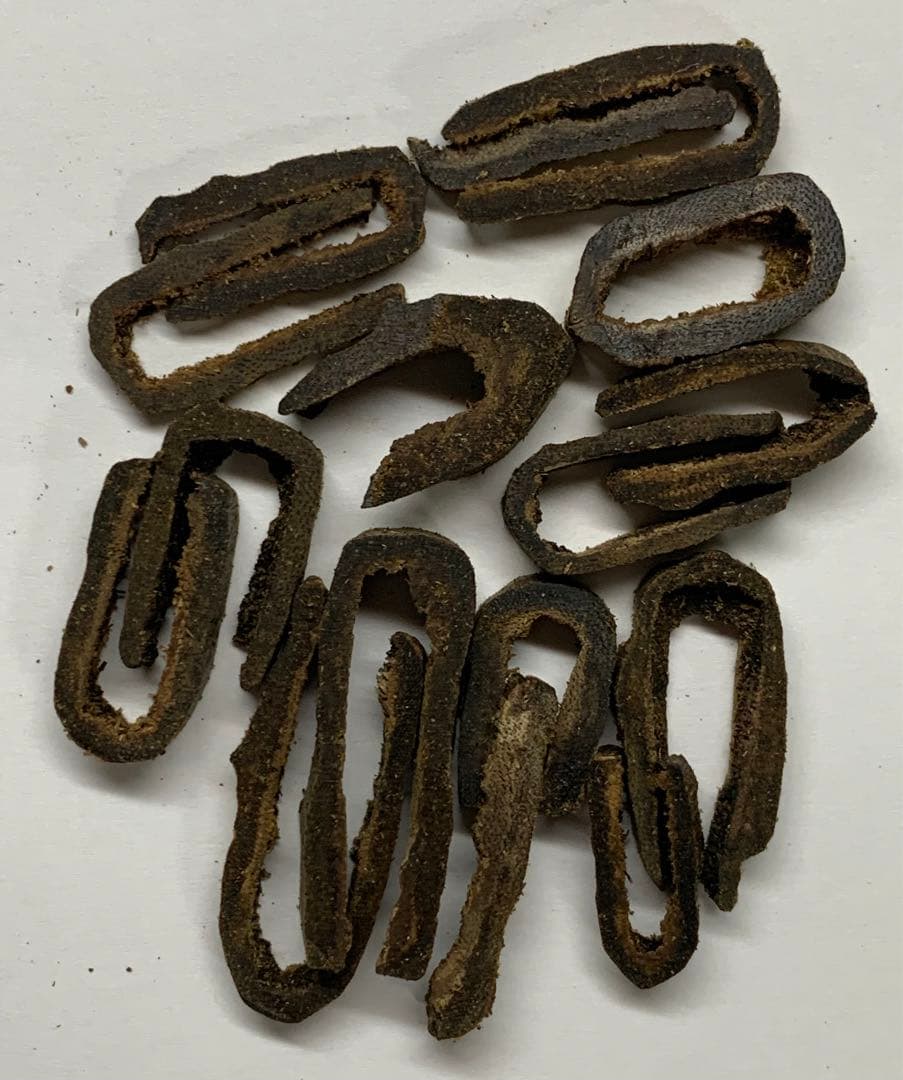 極上黒伽羅 沈香原木 香木 黒伽羅重さ:10g (高ランク本物証明)