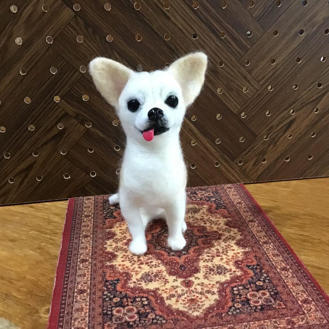 タカ様オーダー品（スムースコートチワワ）