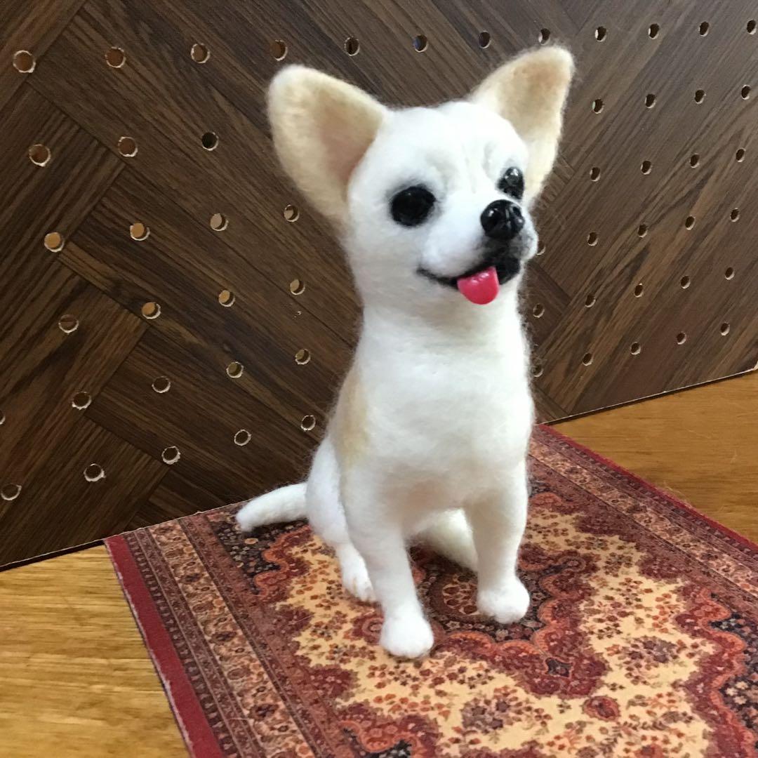 タカ様オーダー品（スムースコートチワワ）