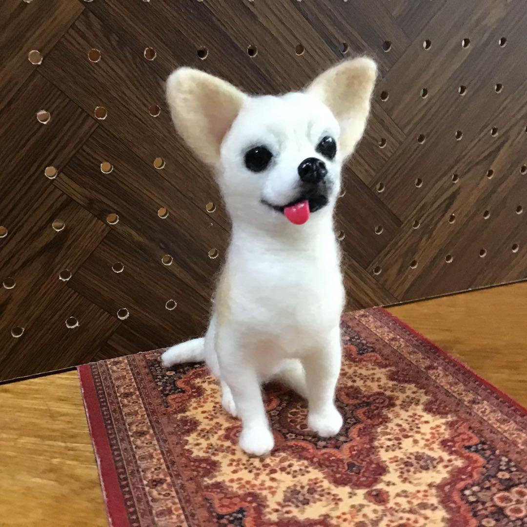 タカ様オーダー品（スムースコートチワワ）